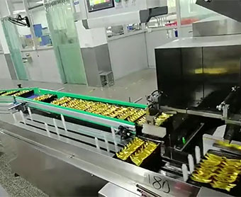 Automatic Cartoning Machine For Biscuit Tray