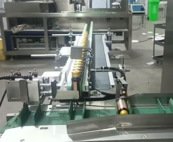 Bottle Cartoning Machine With Leaflet Feeder