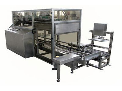 Automatic Drop Case Packer for Bags and Pouches
